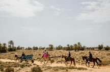 Djerba horse-drawn carriage tour with Blue Lagoon visit