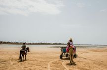 Djerba horse-drawn carriage tour with Blue Lagoon visit