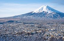 Half-day Mount Fuji scenic drive