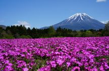 Half-day Mount Fuji scenic drive