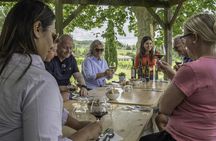 Full-Day Wine Tour in Saint-Emilion and Margaux