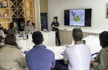 Bordeaux wines Masterclass tasting workshop