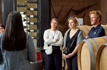 St. Emilion day-tour with village visit, wine tour and lunch
