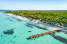 Mexican mixology experience with tequila tasting