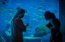 Dubai Aladdin Adventure with View of the Palm and Lost Chamber Tickets