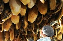 Jabugo Iberian Ham Route with Tasting and Guided Tour