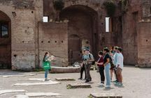 Archaeological Rome tour, Colosseum, Roman Forum and Palatine Hill
