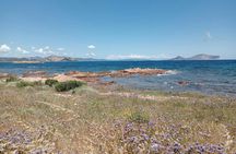 Tavolara half-day tour by dinghy from Bados