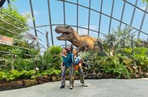 Cloud Forest and Flower Dome at Gardens By The Bay Entrance Tickets