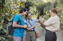 Cloud Forest and Flower Dome at Gardens By The Bay Entrance Tickets
