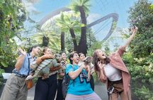 Cloud Forest and Flower Dome at Gardens By The Bay Entrance Tickets