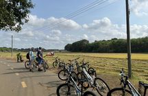 Saigon countryside guided bike tour with lunch
