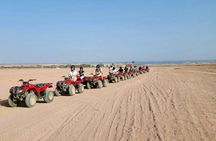 Sharm desert combo quad biking, bedouin dinner, show and stargazing