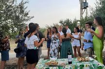 Nero d'Avola tasting and bottling experience in Agrigento