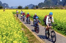 4-hour Yangshuo tour with Shili Gallery cycling and Liu Sanjie show