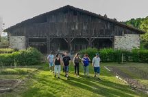 Traditional Basque farm and cider cellar tour with lunch