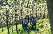 Traditional Basque farm and cider cellar tour with lunch