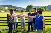 Traditional Basque farm and cider cellar tour with lunch