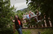 Basque Whaling Museum tour and lunch at a cider house