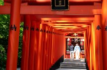 Kobe food and sake tour with teppanyaki tasting experience
