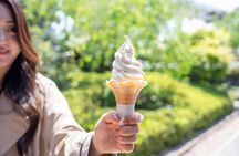 Kobe food and sake tour with teppanyaki tasting experience
