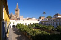 Royal Alcazar, Cathedral and Giralda small group tour