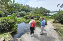 Origin and exploration tour of El Valle de Anton from Panama City