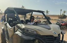 Marrakech palm grove off-road buggy adventure