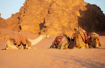 Agafay Desert experience with dinner, camel ride and quad bike