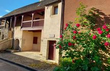 Private wine tasting in Vosne-Romanée's ancient cellars