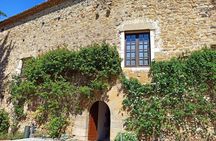 Dalí and wine full day tour with Castle of Púbol and tasting