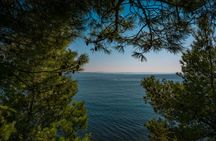 Boat excursion to discover the Miramare UNESCO Reserve