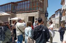 Ribeira Sacra and Ourense guided day trip with river cruise
