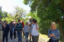 Ribeira Sacra and Ourense guided day trip with river cruise