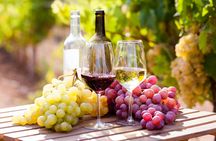 Prosecco tasting in Contovello vineyard with local winemaker