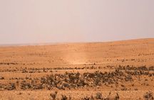 Ksar Ghilane and Matmata full-day tour from Djerba or Zarzis