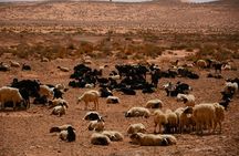 Ksar Ghilane and Matmata full-day tour from Djerba or Zarzis