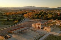 Dalí and wine full day tour with Castle of Púbol and tasting