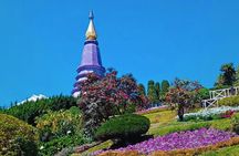 Private day trip with professional driver in Doi Inthanon