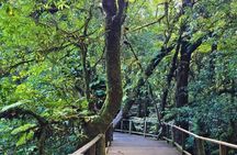 Private day trip with professional driver in Doi Inthanon