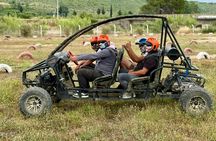 Family buggy safari from Side