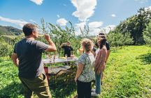 Basque cider house tour with lunch from San Sebastián
