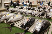 Toyosu tuna auction, seafood breakfast, and tsukiji stroll in Tokyo