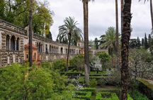 Guided tour of Real Alcázar of Seville, Cathedral and Giralda