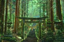 Miyazaki, Takachiho Gorge and Shrines guided tour from Fukuoka