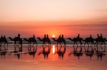 Buggy and camel ride in Tamlaline's dunes