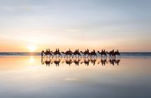 Camel ride, dune buggy and Moroccan BBQ dinner
