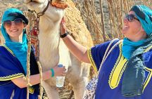 Camel ride, dune buggy and Moroccan BBQ dinner