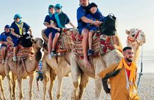 Paradise Valley tour with buggy and camel rides with lunch