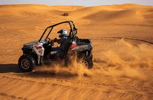 Paradise Valley and Atlas Mountains tour with buggy ride and lunch